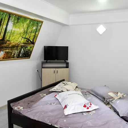 Hostel Casa Simescu I
