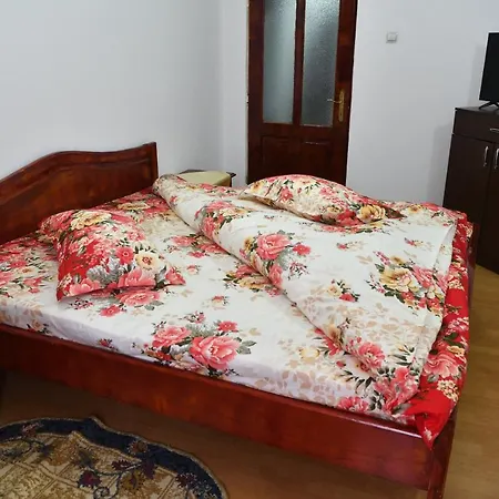 Hostel Casa Simescu I