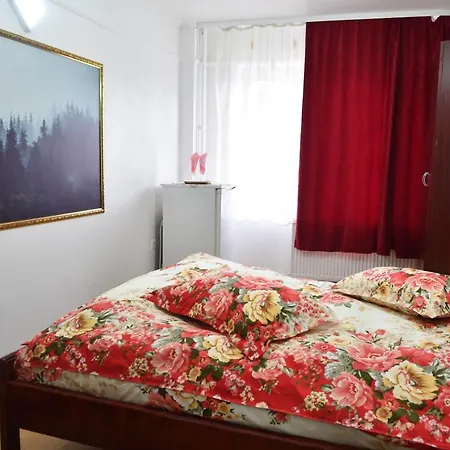 Hostel Casa Simescu I