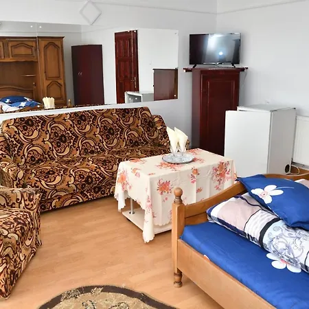 Hostel Casa Simescu I